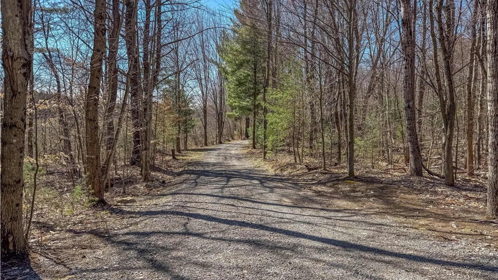 Property at 3976 Factory Road, Diana, NY 13665 43