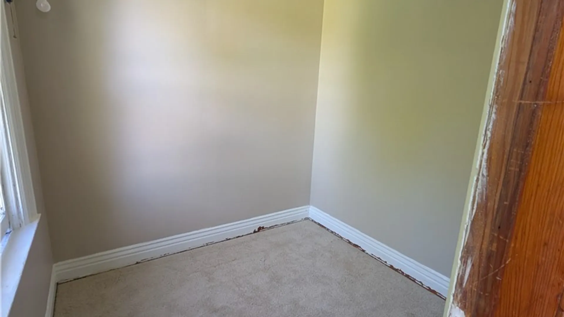 Property at 59 Edna Place, Buffalo, NY 14209 18