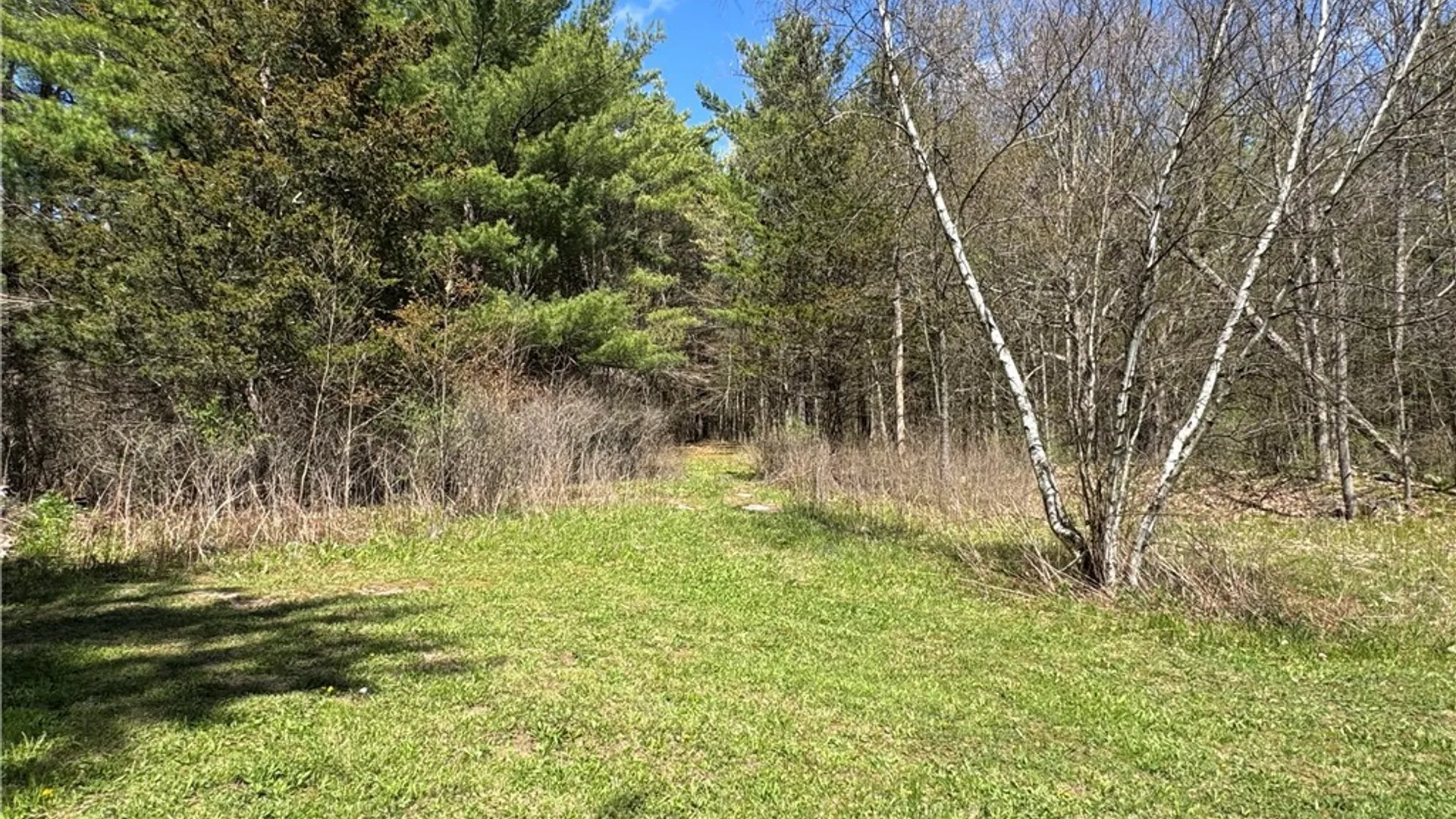 Property at 27415 Limestone Road, Alexandria, NY 13679 41