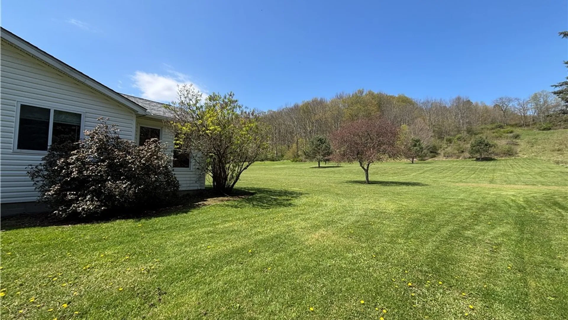 Property at 995 State Highway 166, Middlefield, NY 13326 11