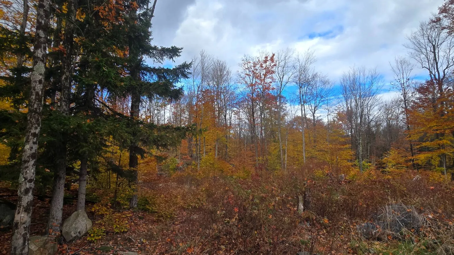 Property at 7761 Alpine Rd, Harrisville, NY 13648 19