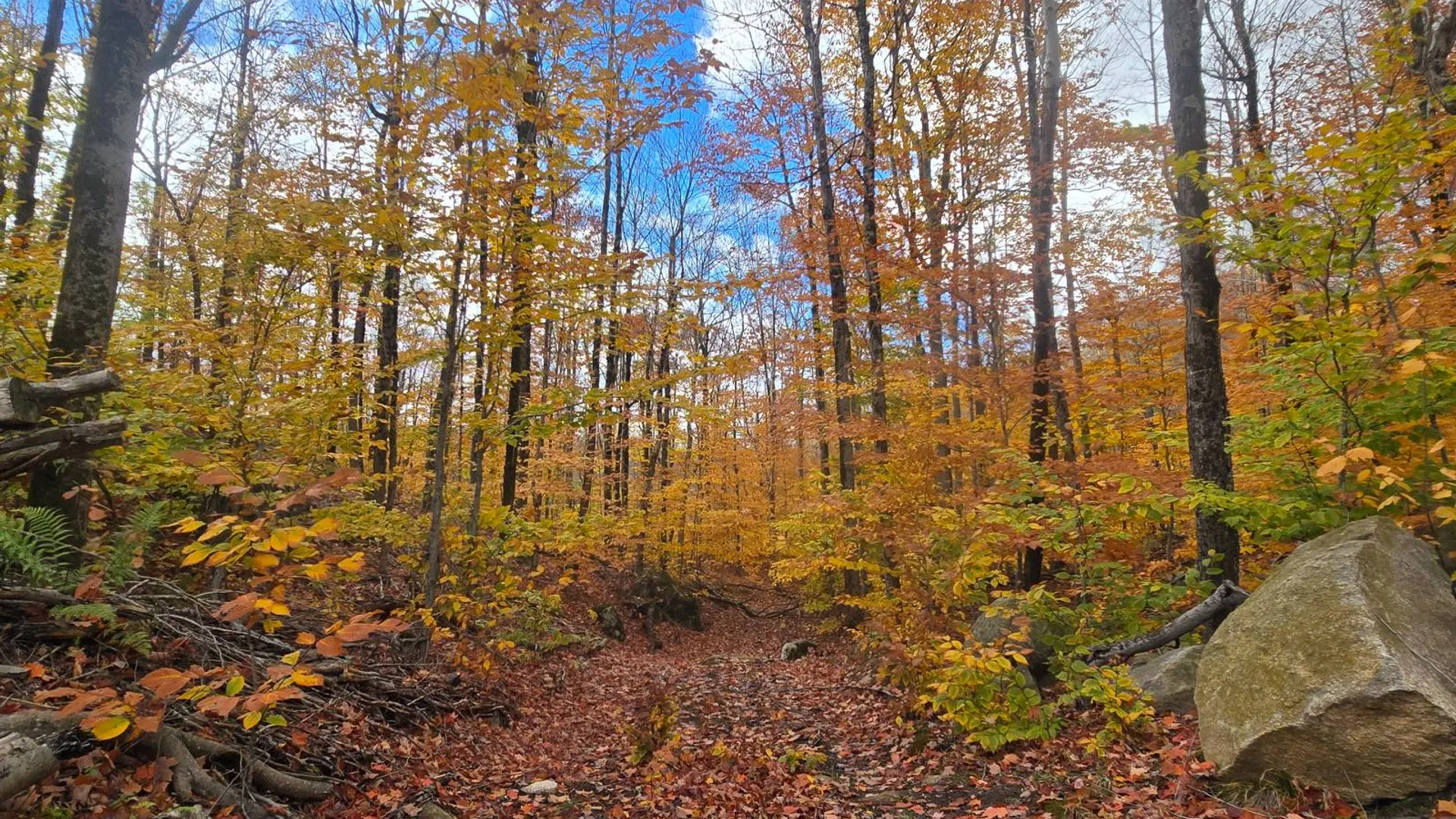 Property at 7761 Alpine Rd, Harrisville, NY 13648 20