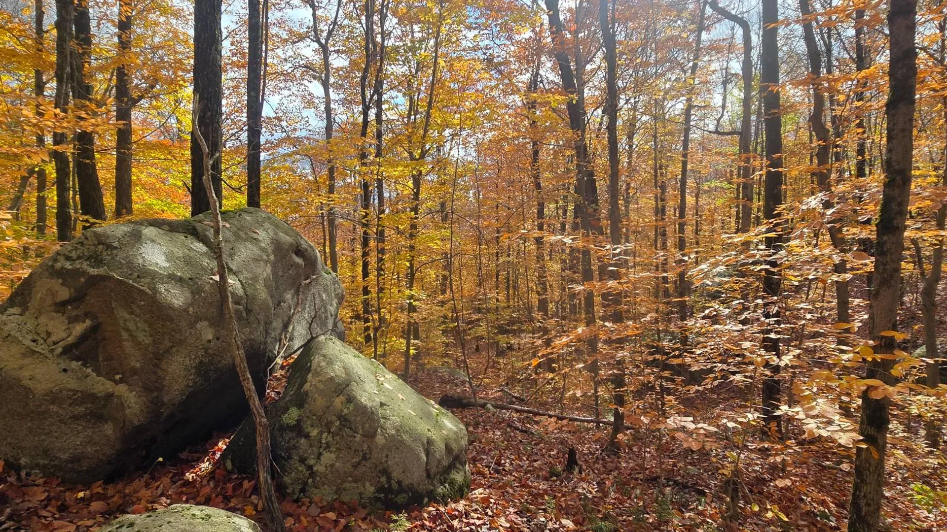 Property at 7761 Alpine Rd, Harrisville, NY 13648 22