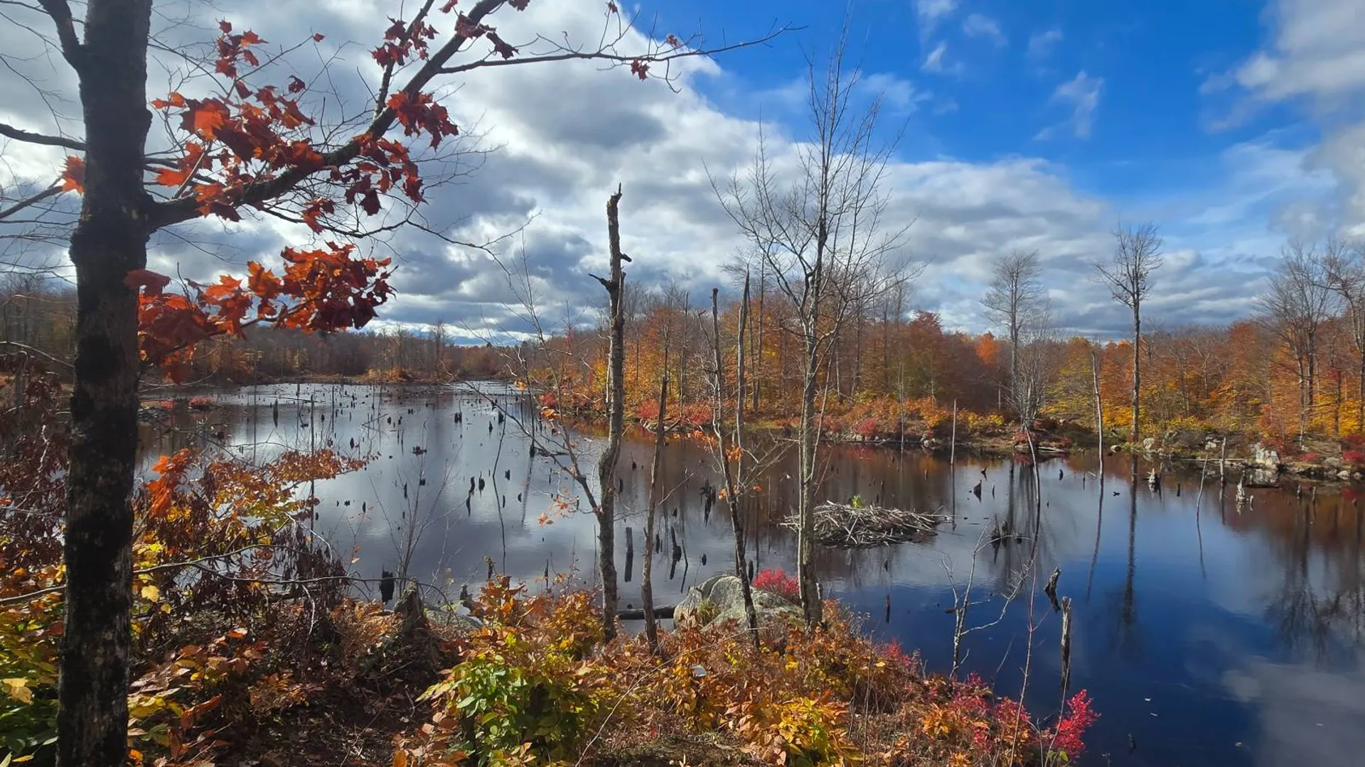 Property at 7761 Alpine Rd, Harrisville, NY 13648 25