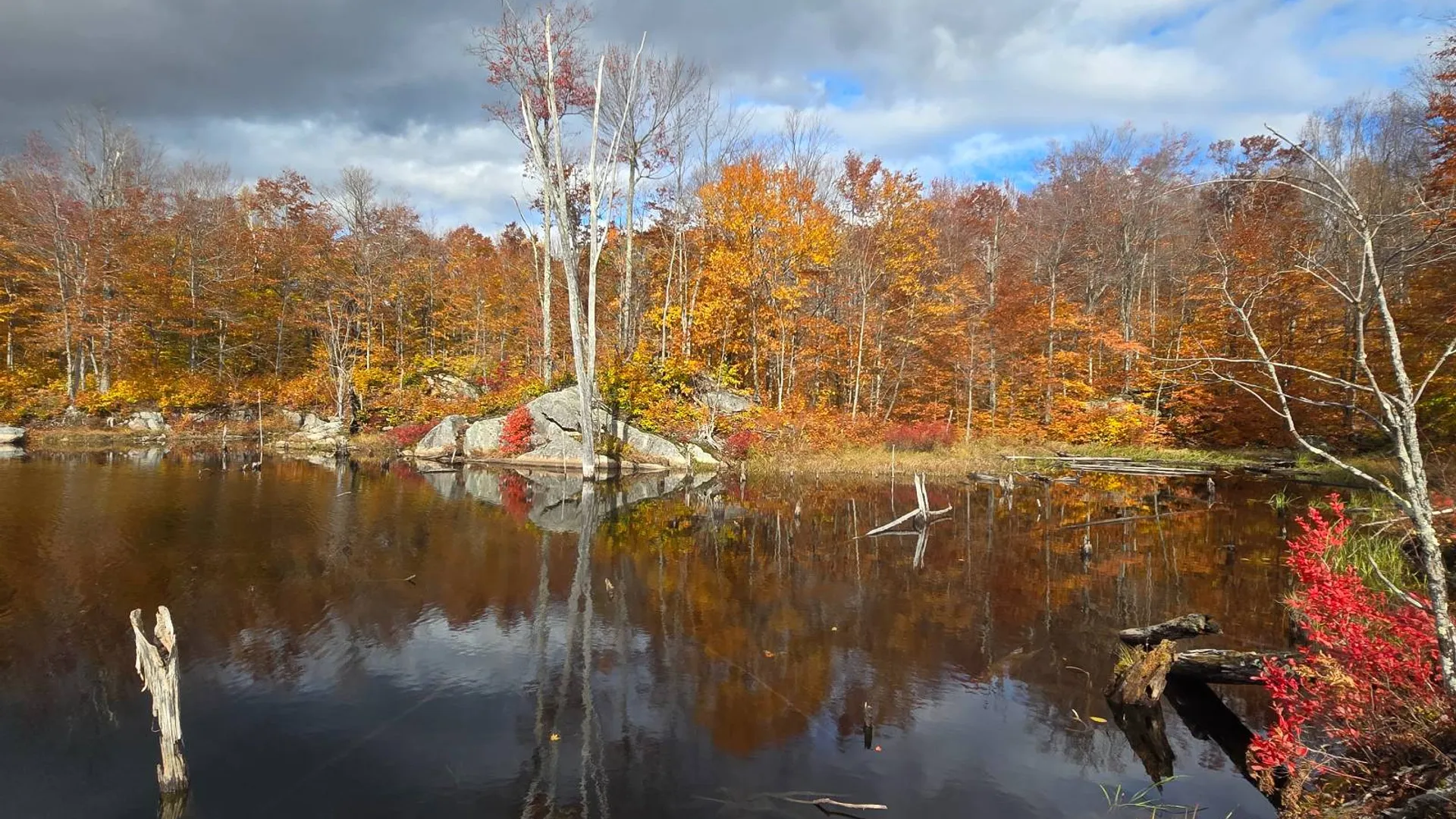 Property at 7761 Alpine Rd, Harrisville, NY 13648 26