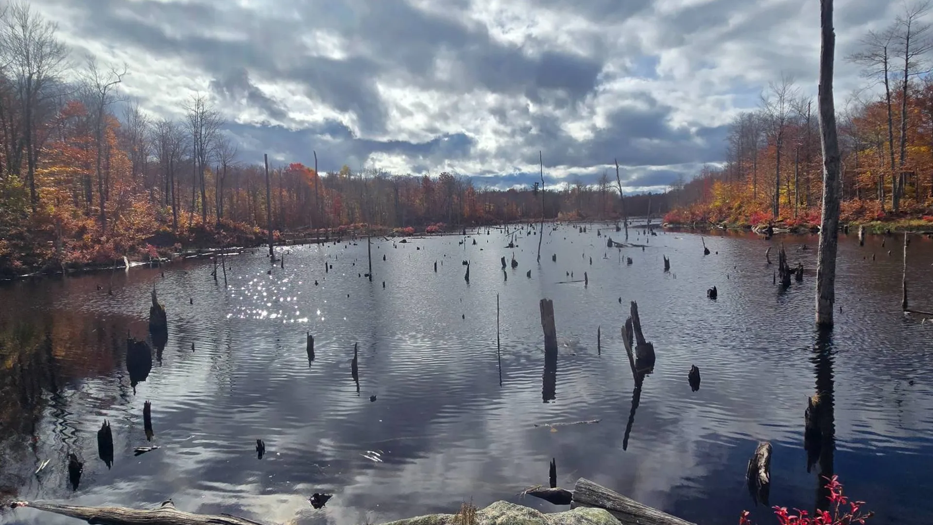 Property at 7761 Alpine Rd, Harrisville, NY 13648 3