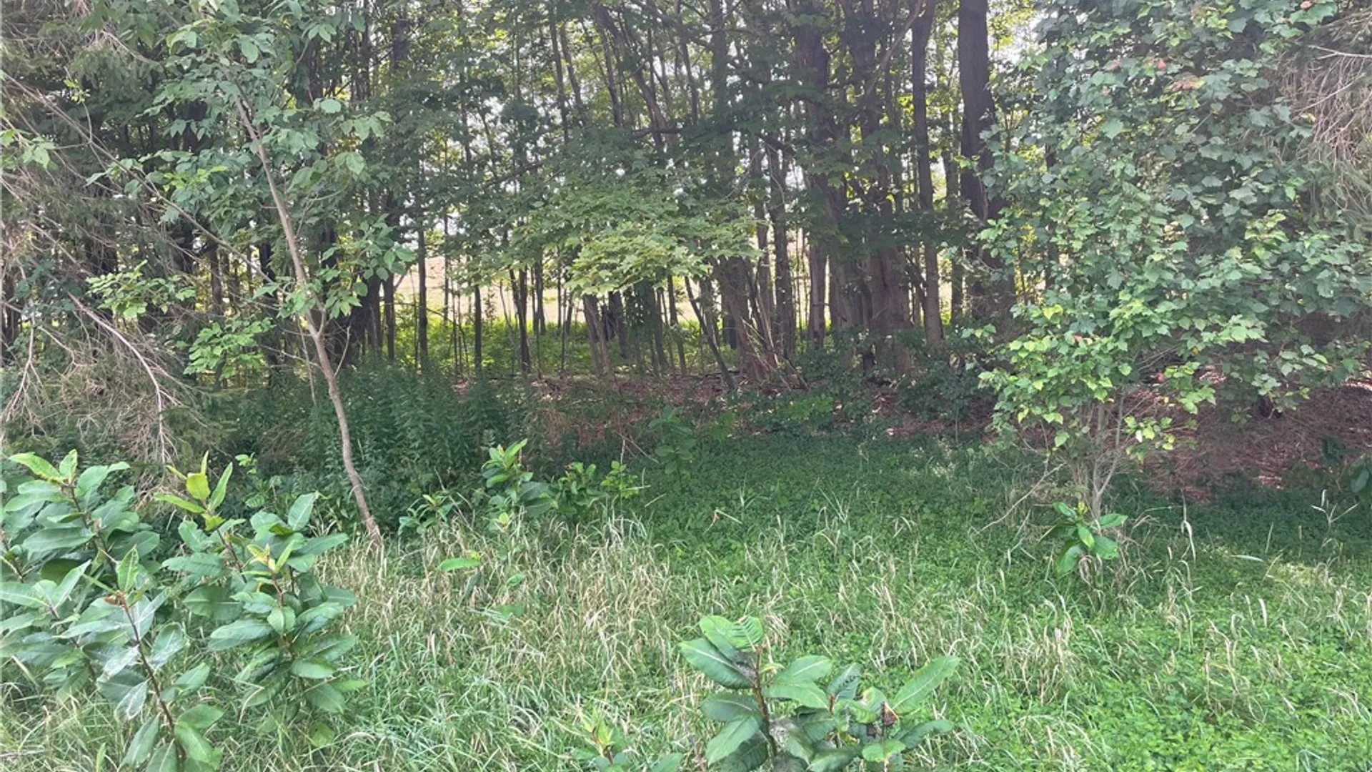 Property at State Highway 206, Masonville, NY 13804 5