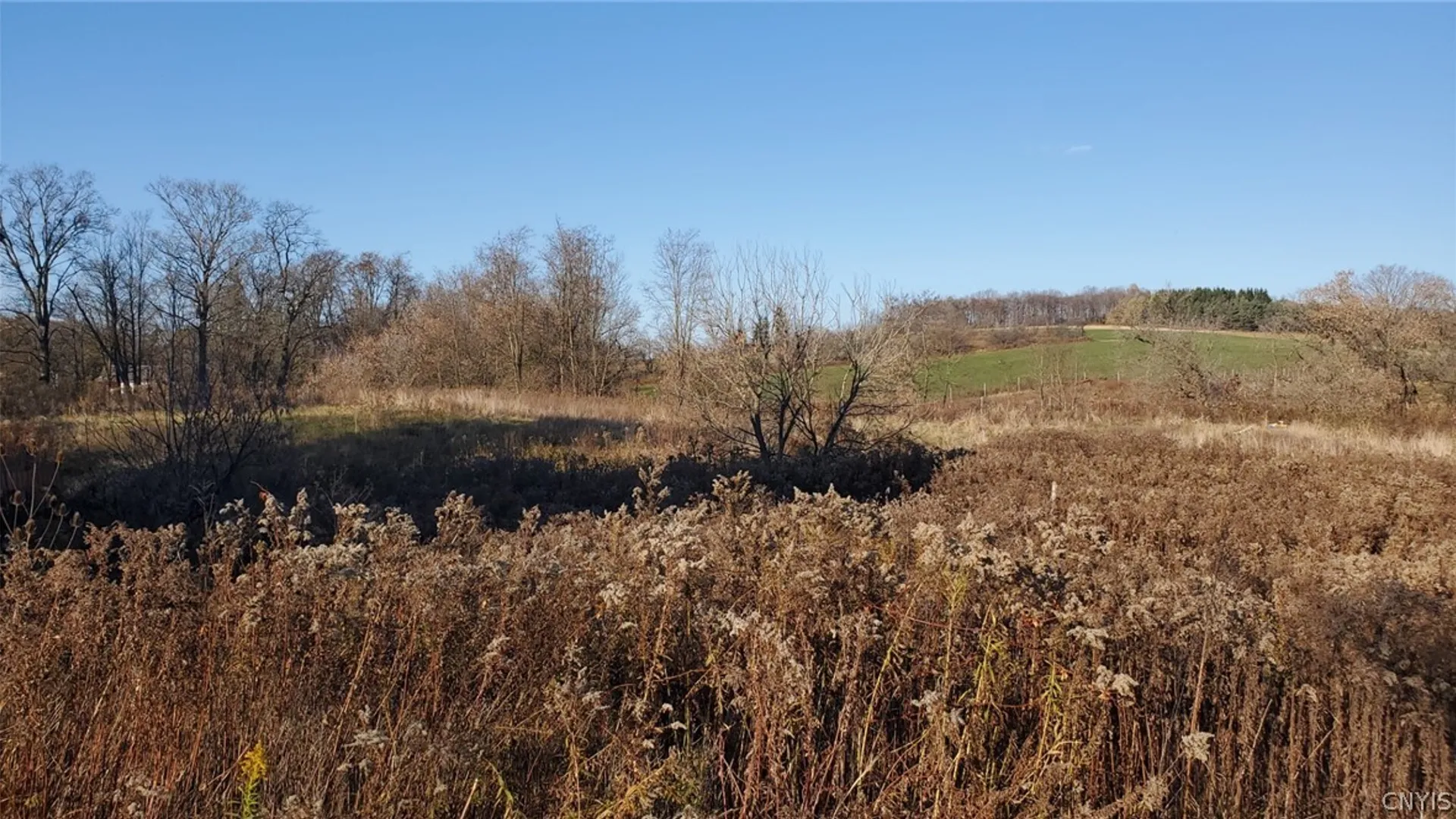 Property at 1229 State Route 392, Virgil, NY 13045 30