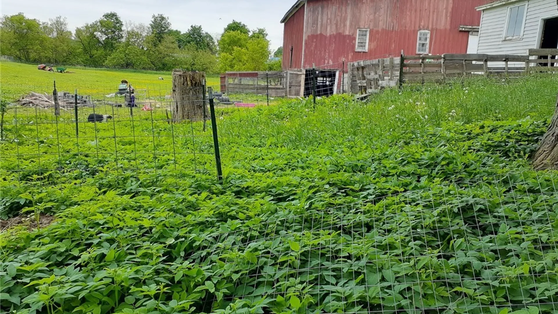 Property at 1229 State Route 392, Virgil, NY 13045 33