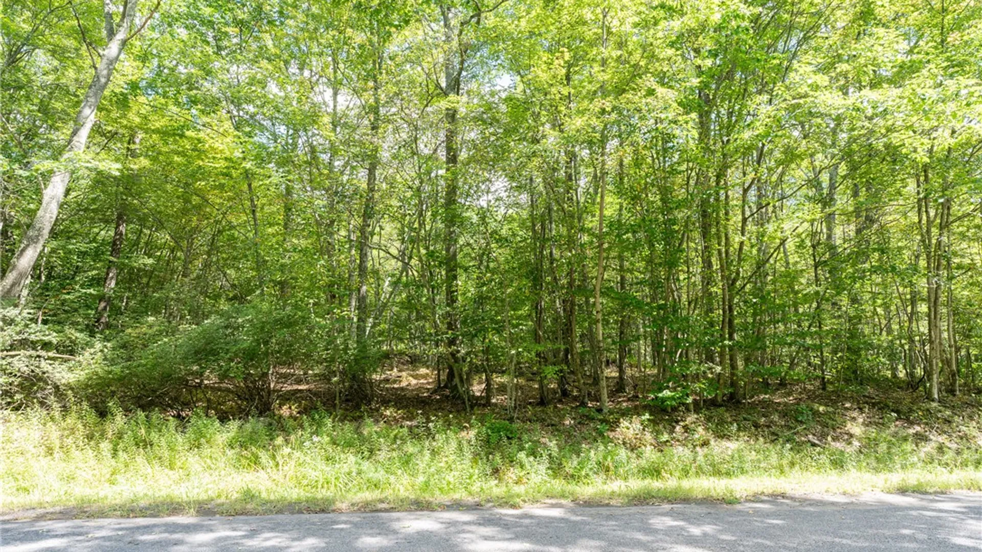 Property at Joe Todd Road, Middletown, NY 12430 18
