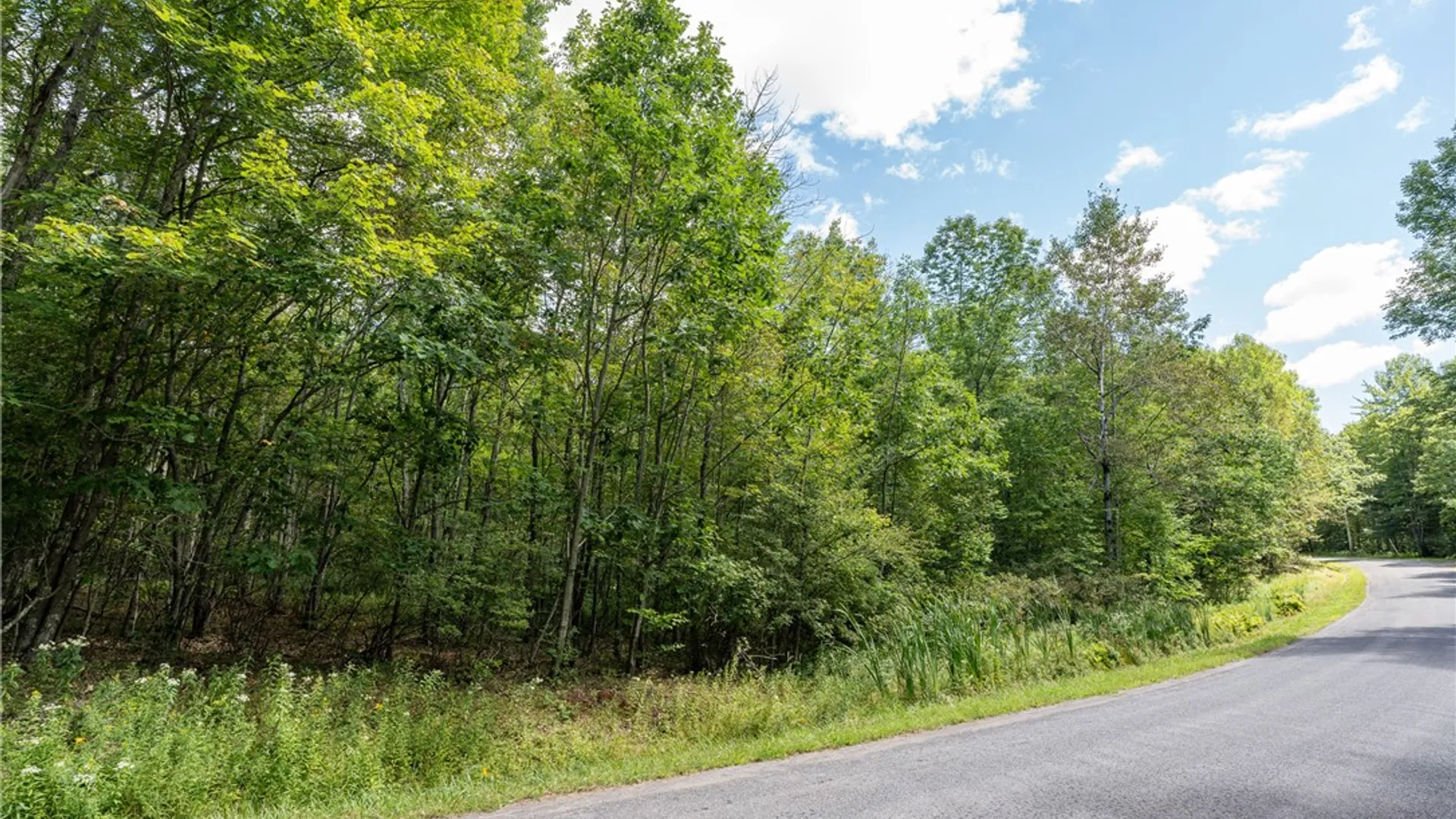 Property at Joe Todd Road, Middletown, NY 12430 2