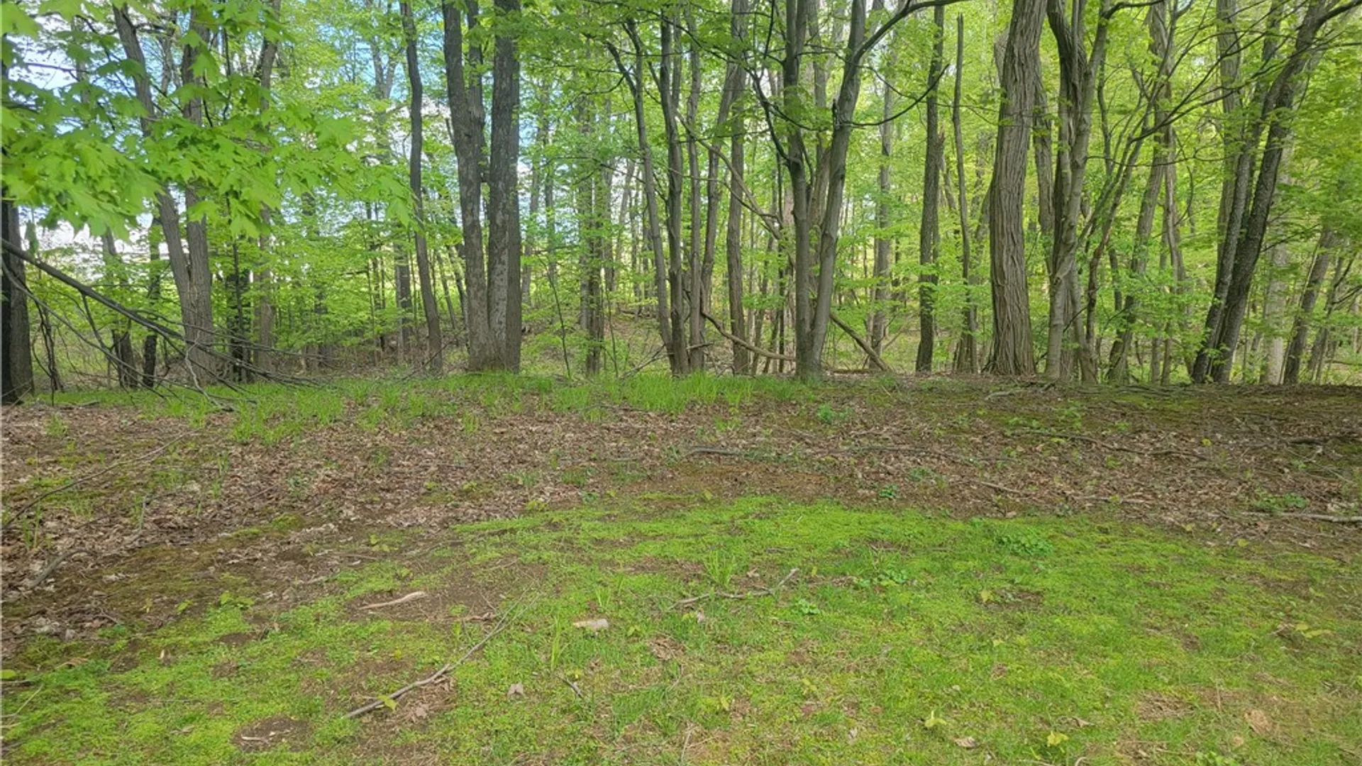 Property at 6758 Slocum Rd Road, Ontario, NY 14519 13