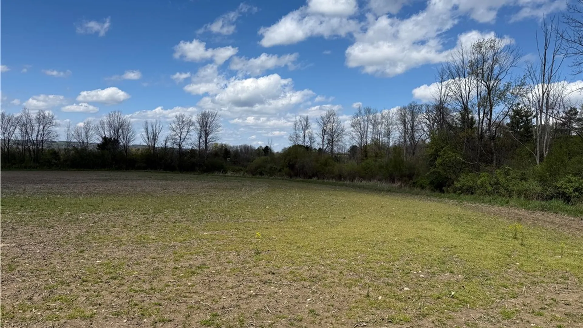 Property at Oakland Road, Mt Morris, NY 14517 10