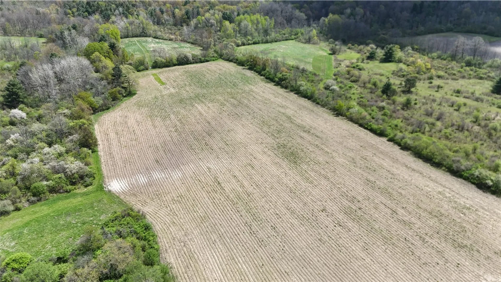 Property at Oakland Road, Mt Morris, NY 14517 11