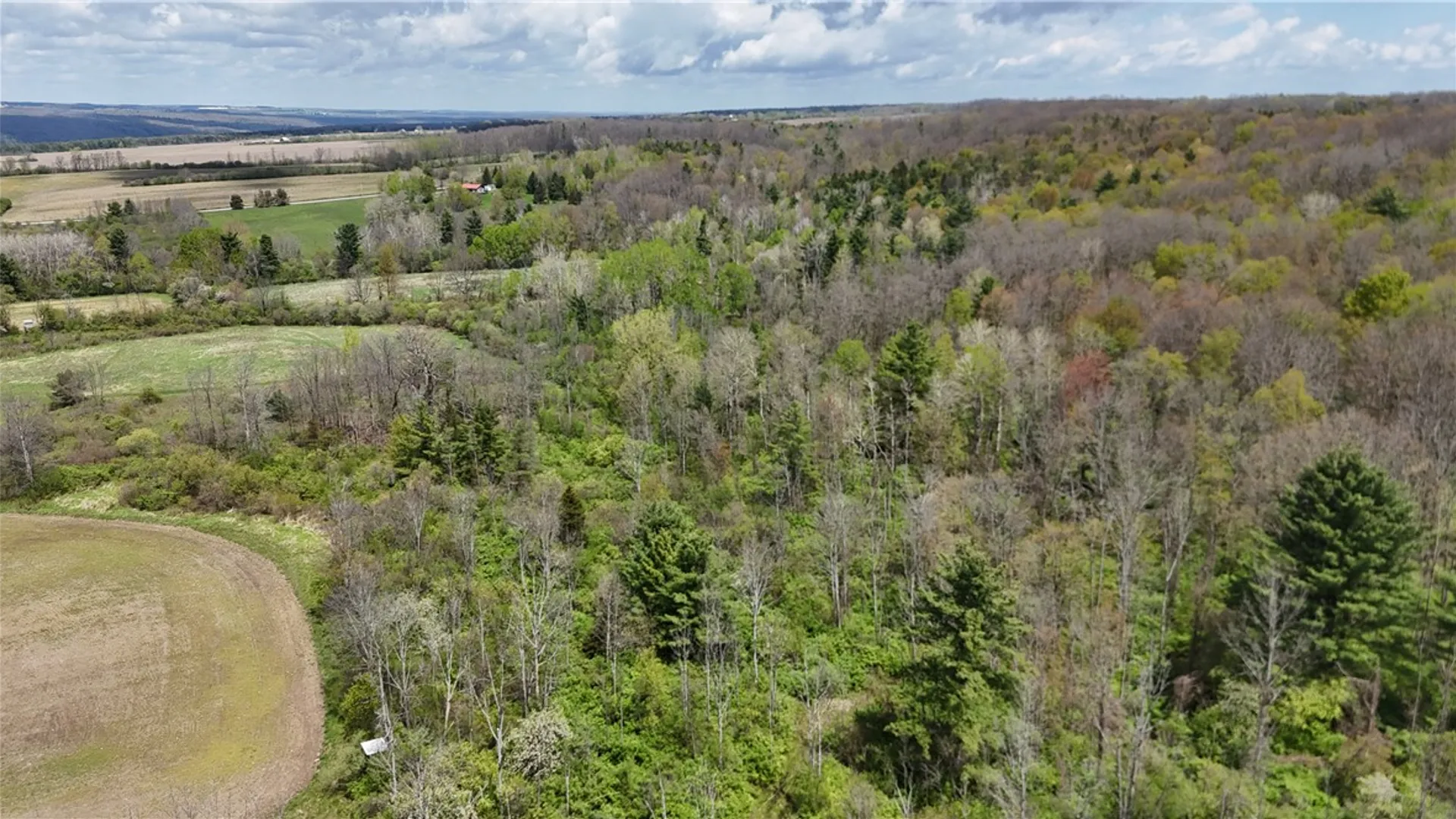 Property at Oakland Road, Mt Morris, NY 14517 12