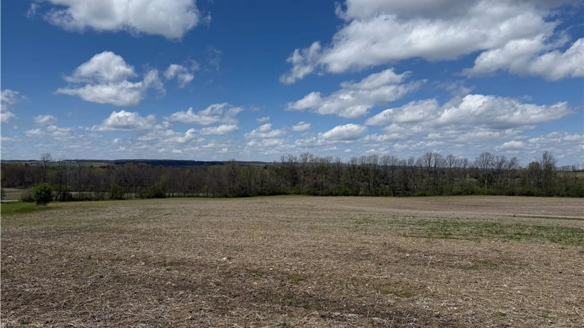 Property at Oakland Road, Mt Morris, NY 14517 4