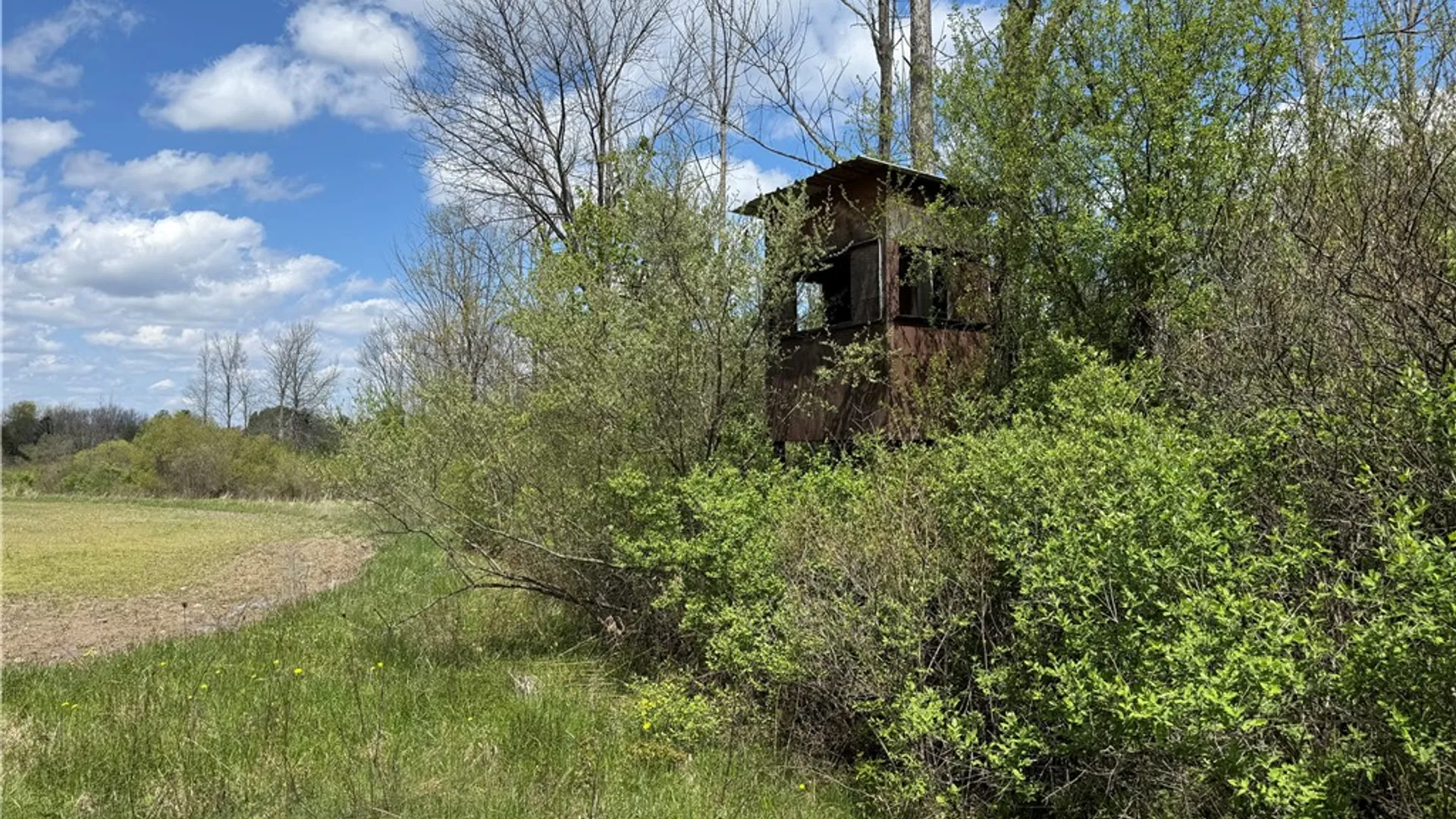 Property at Oakland Road, Mt Morris, NY 14517 5