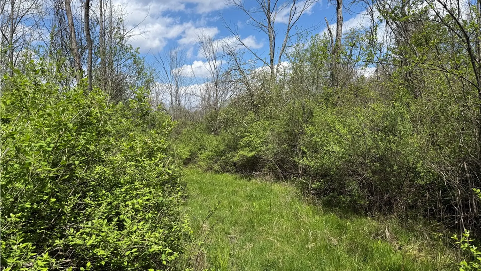 Property at Oakland Road, Mt Morris, NY 14517 7