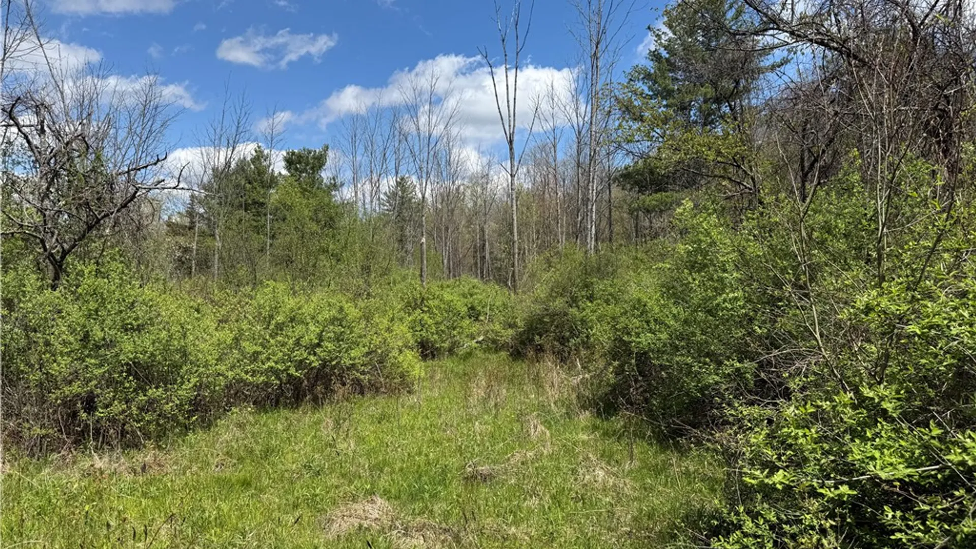 Property at Oakland Road, Mt Morris, NY 14517 8