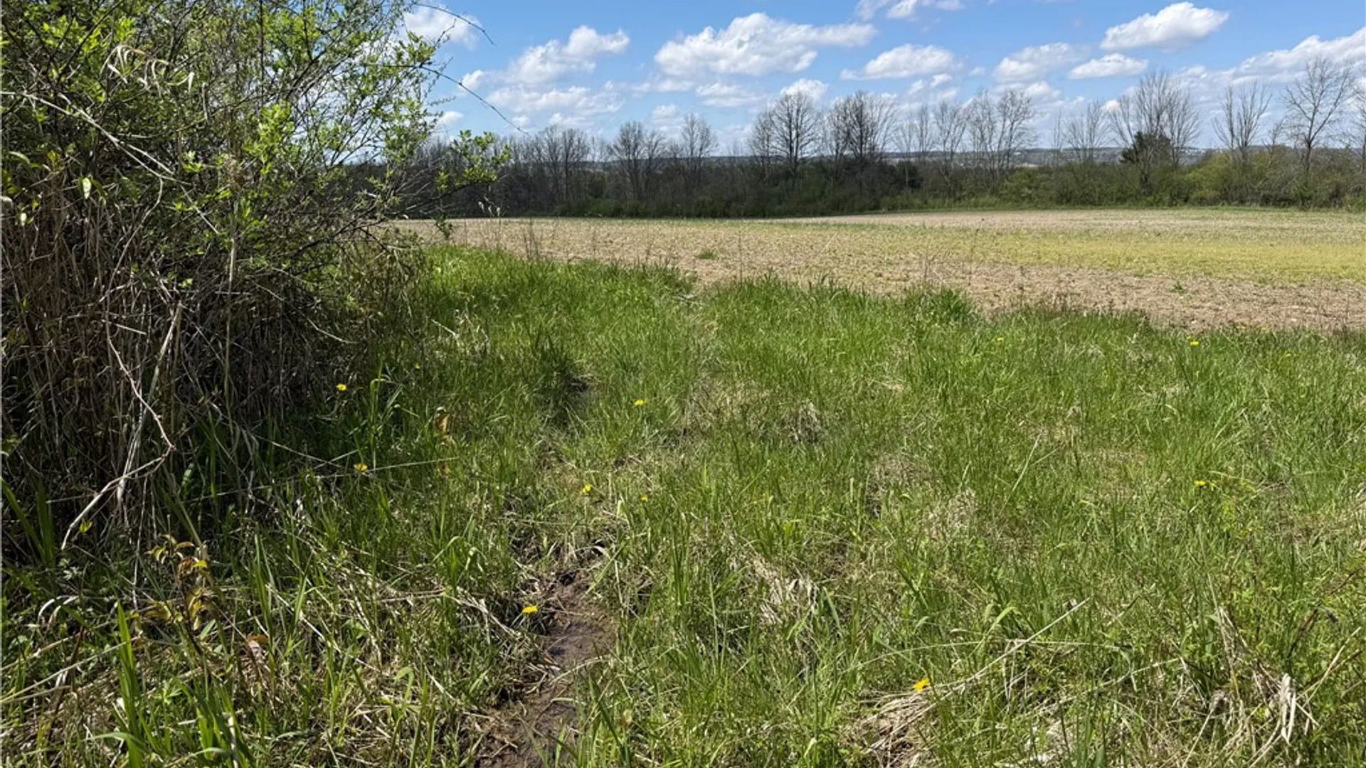 Property at Oakland Road, Mt Morris, NY 14517 9