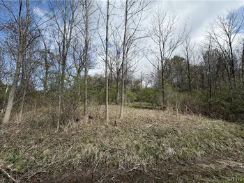 Property at Rt-167, Warren, NY 13361