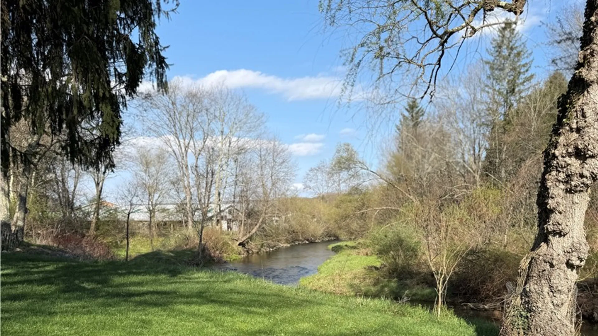 Property at 12 Mill Street, Morris, NY 13808 38