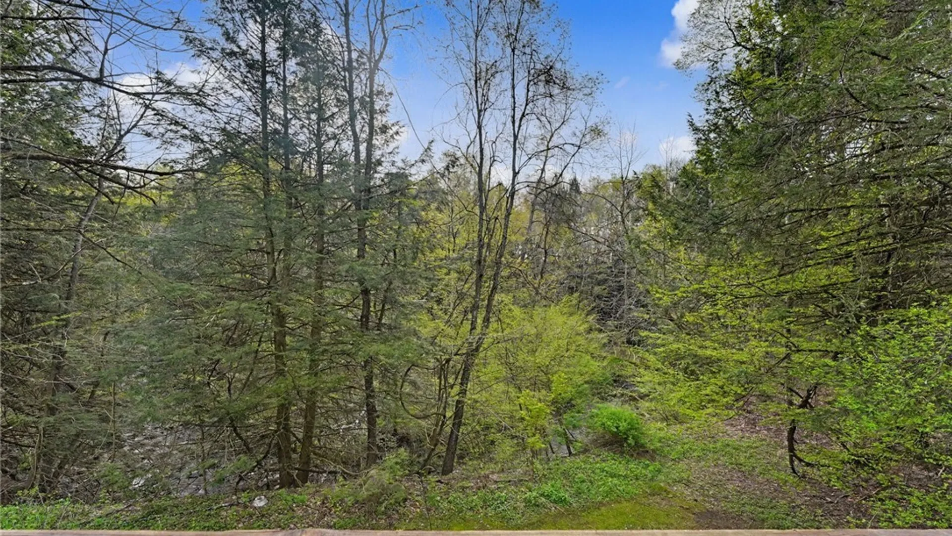 Property at 13389 Schutt Road, Sardinia, NY 14134 7