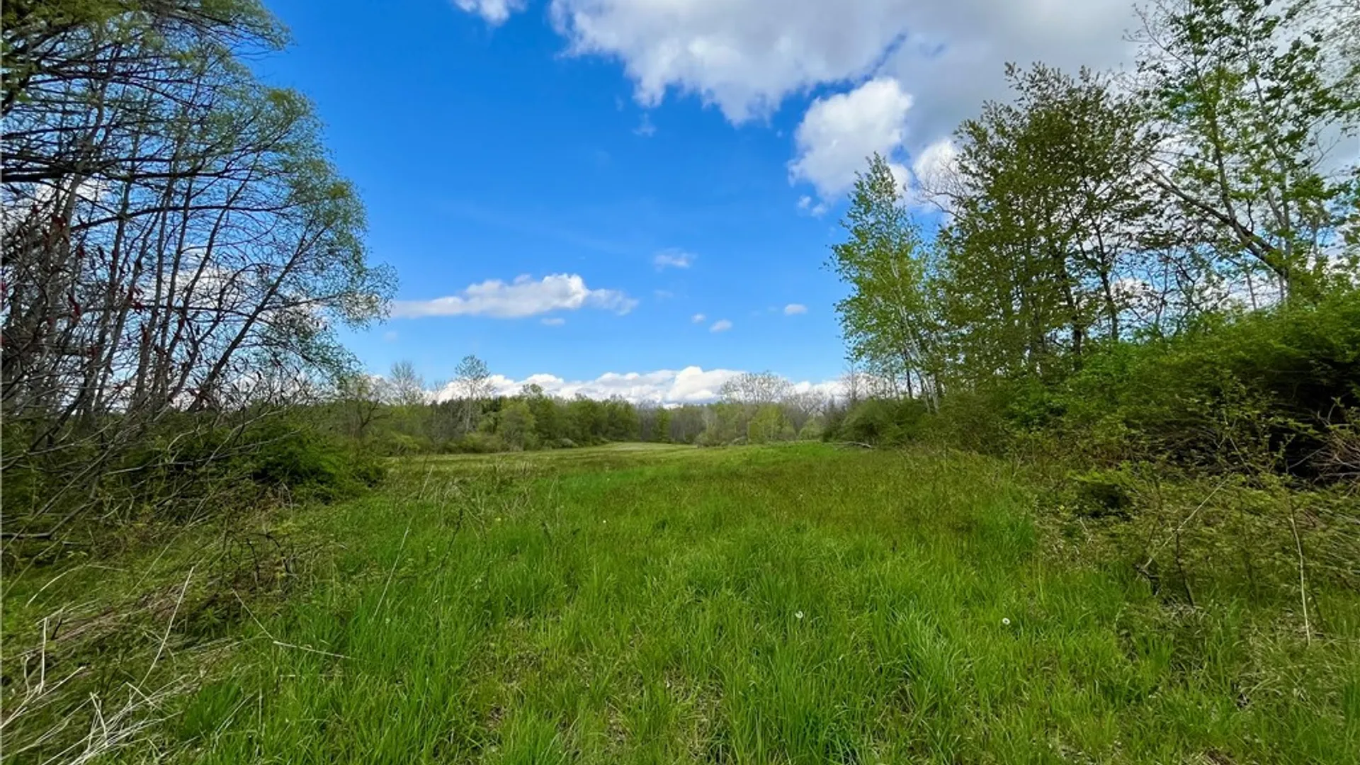 Property at 0 Stone/State Route 104 Road, Huron, NY 14590 3