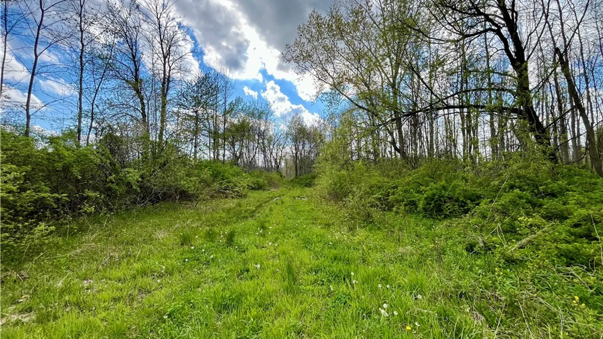 Property at 0 Stone/State Route 104 Road, Huron, NY 14590 4