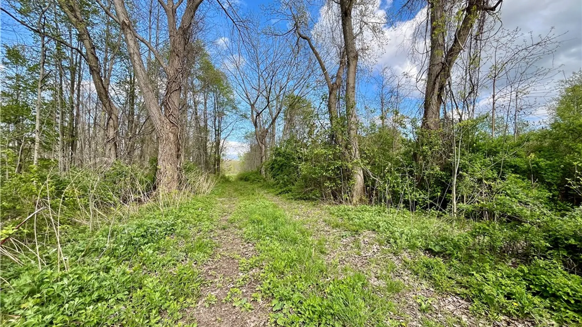 Property at 0 Stone/State Route 104 Road, Huron, NY 14590 5