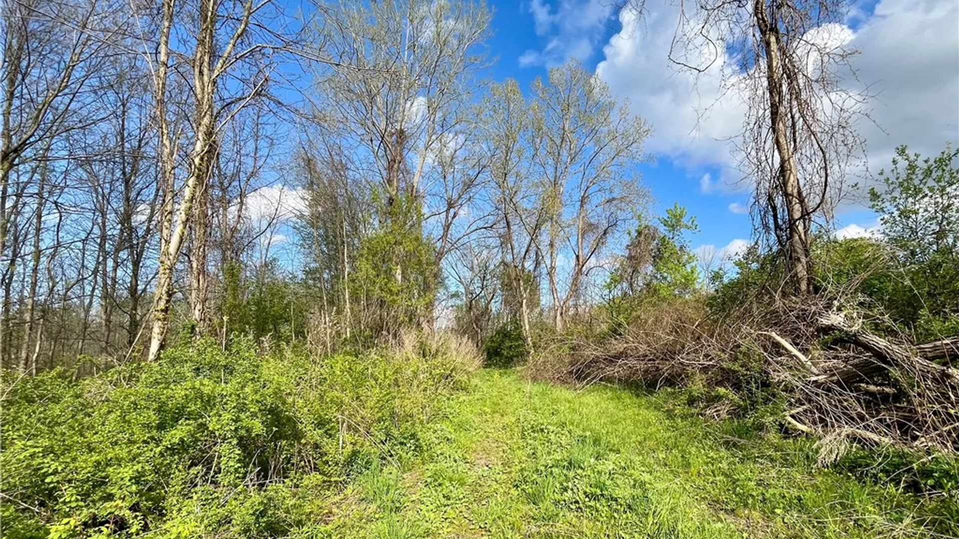 Property at 0 Stone/State Route 104 Road, Huron, NY 14590 6