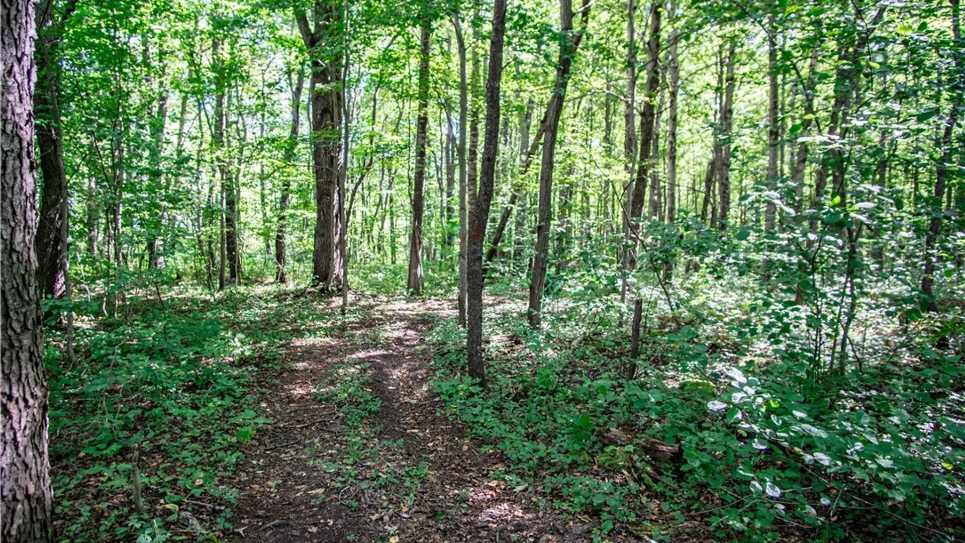 Property at 6449 Lawson Road, Chautauqua, NY 14757 21
