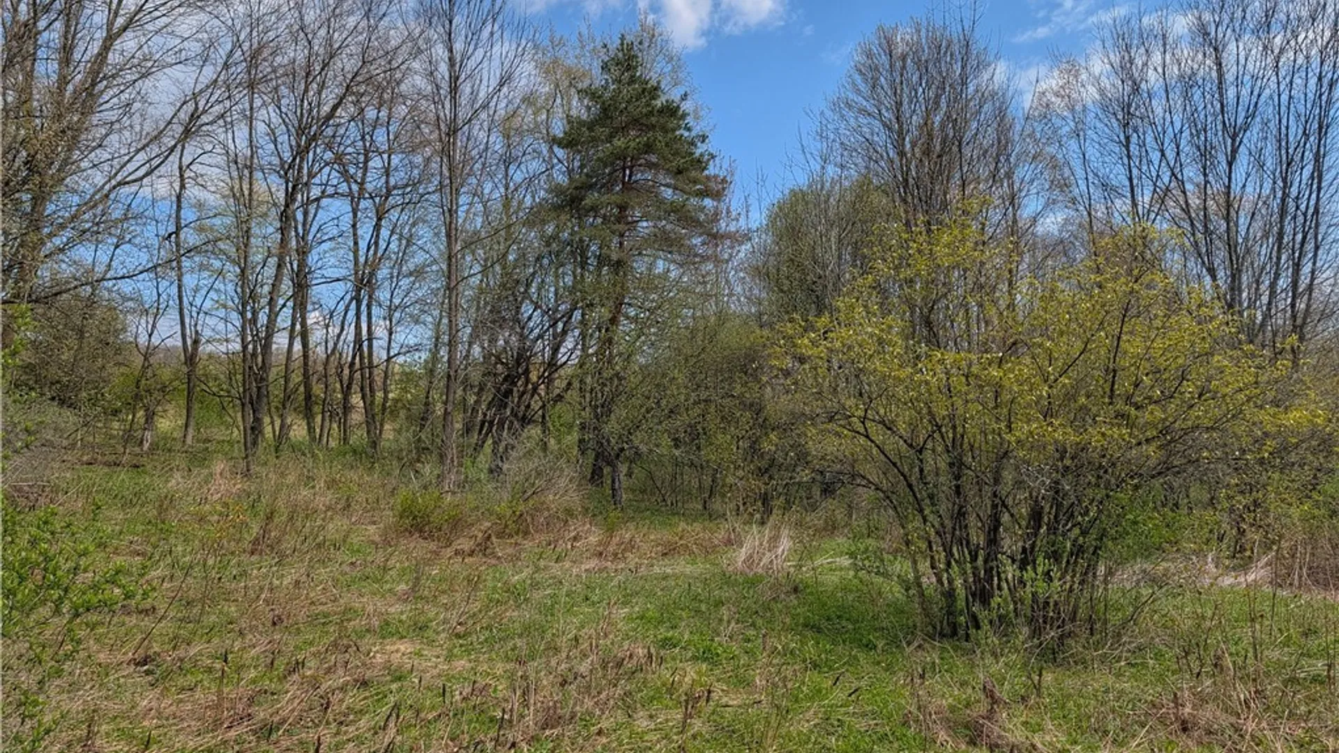 Property at Ramey Road, Pittsfield, NY 13411 2