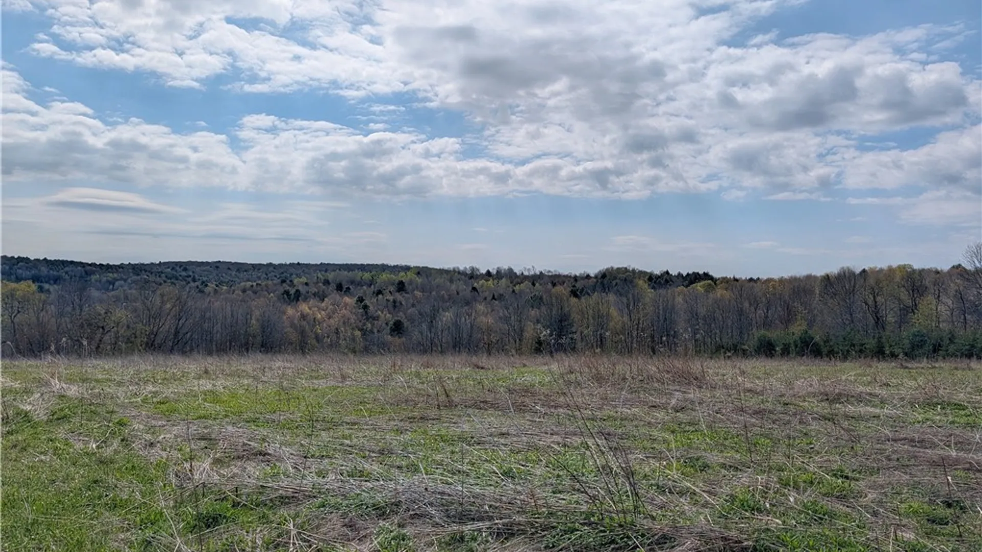 Property at Ramey Road, Pittsfield, NY 13411 4