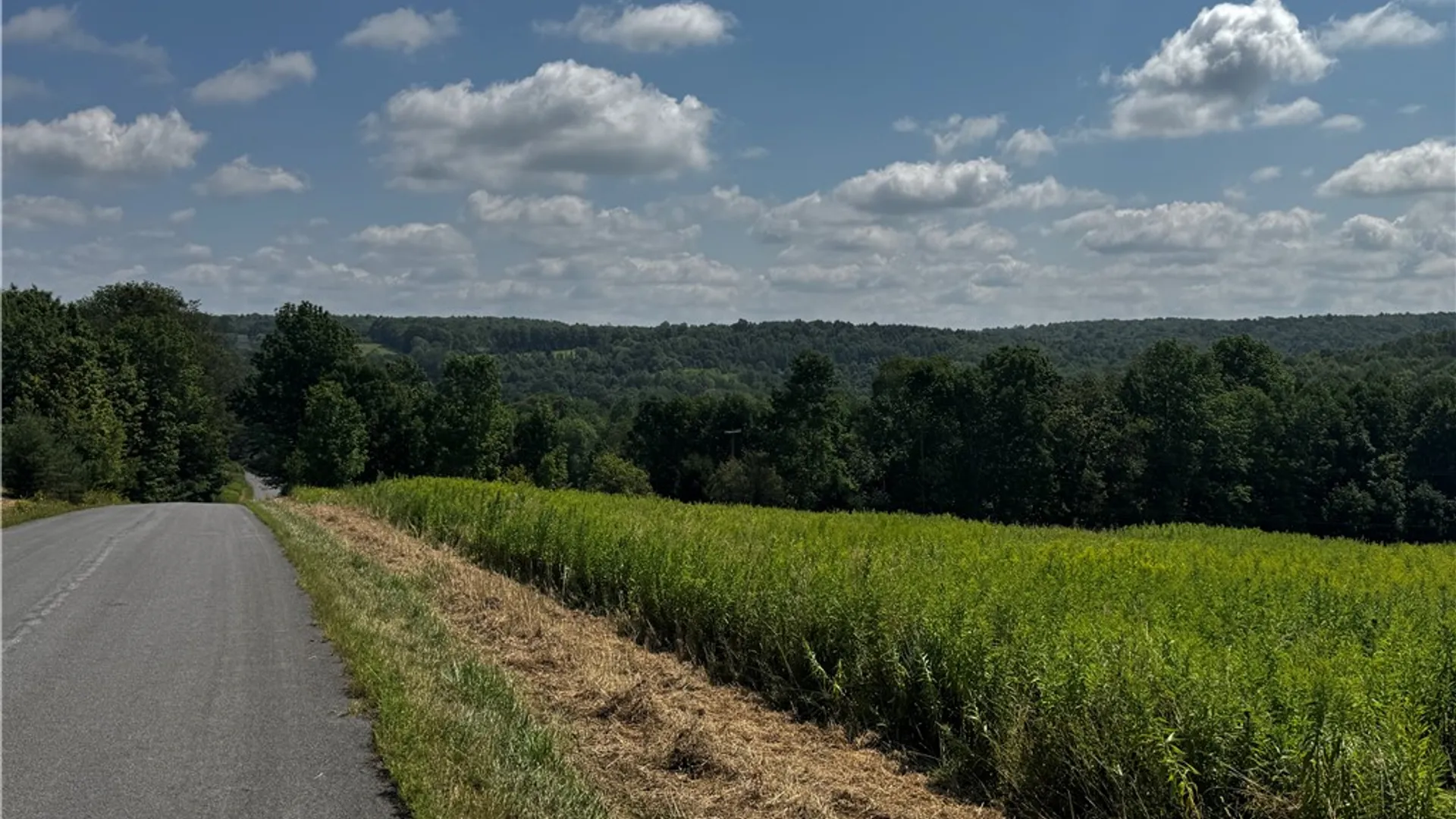 Property at Ramey Road, Pittsfield, NY 13411 7