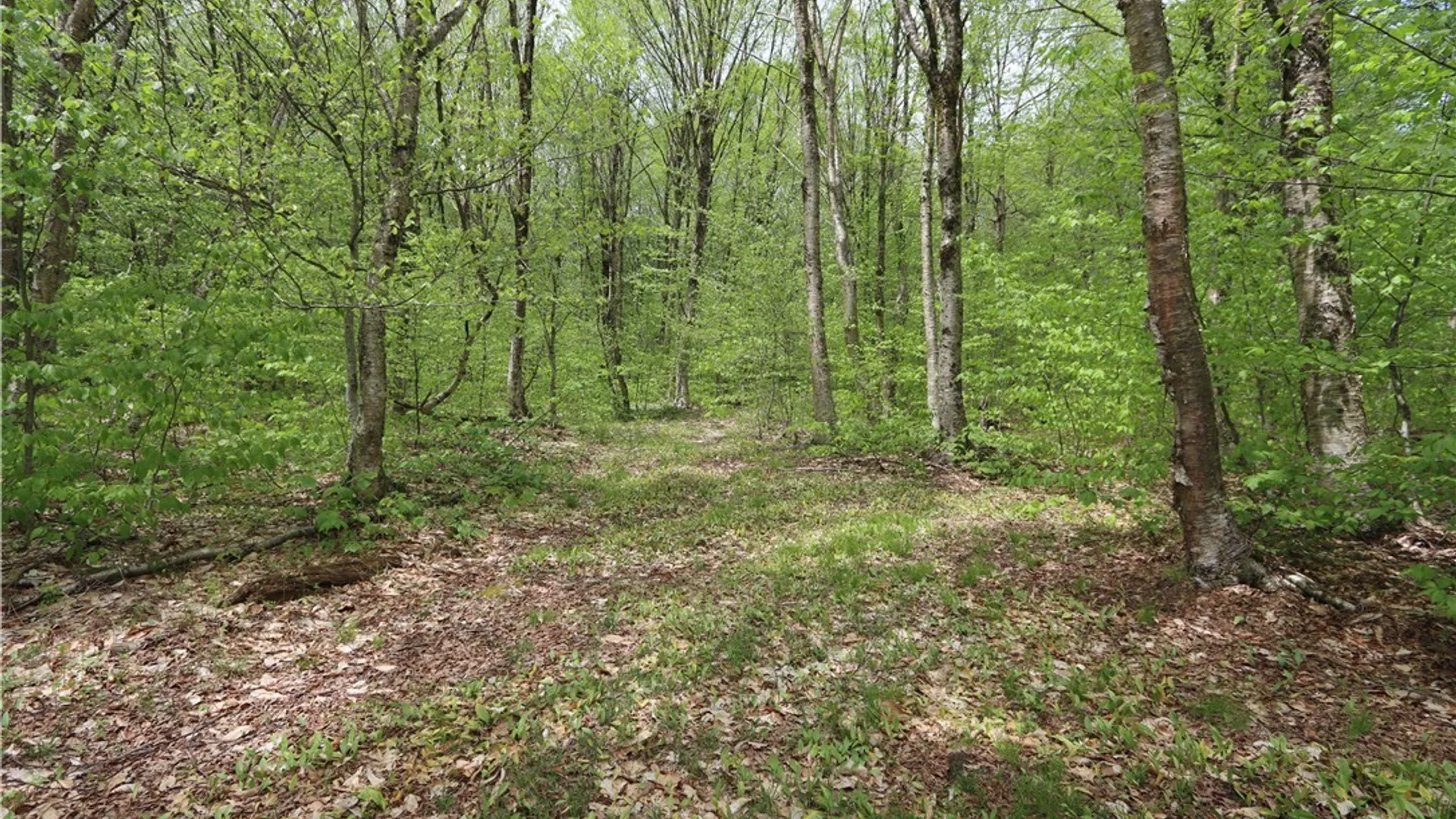 Property at 2985 Potter Road, Osceola, NY 13437 27