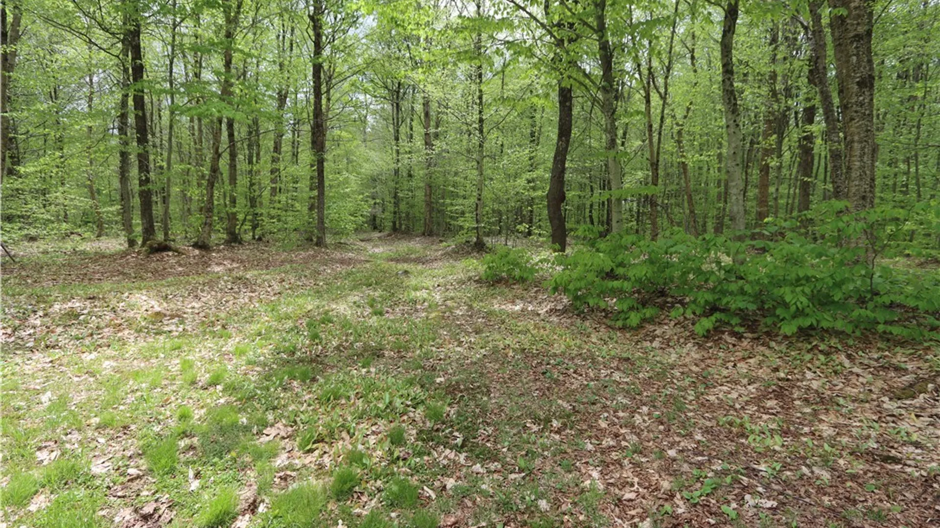 Property at 2985 Potter Road, Osceola, NY 13437 28