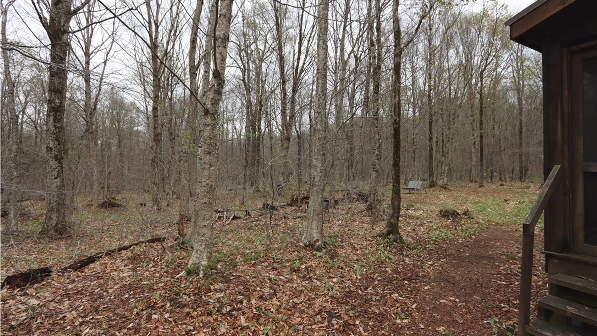 Property at 2985 Potter Road, Osceola, NY 13437 5