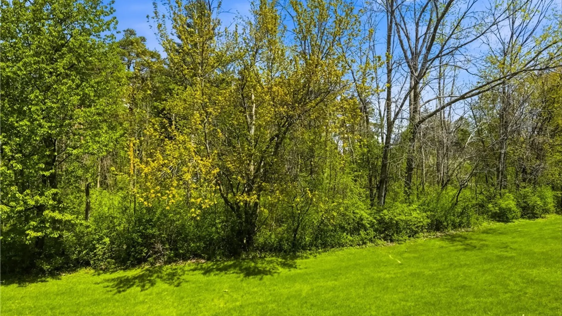 Property at 5301 Chestnut Ridge Road, Orchard Park, NY 14127 7