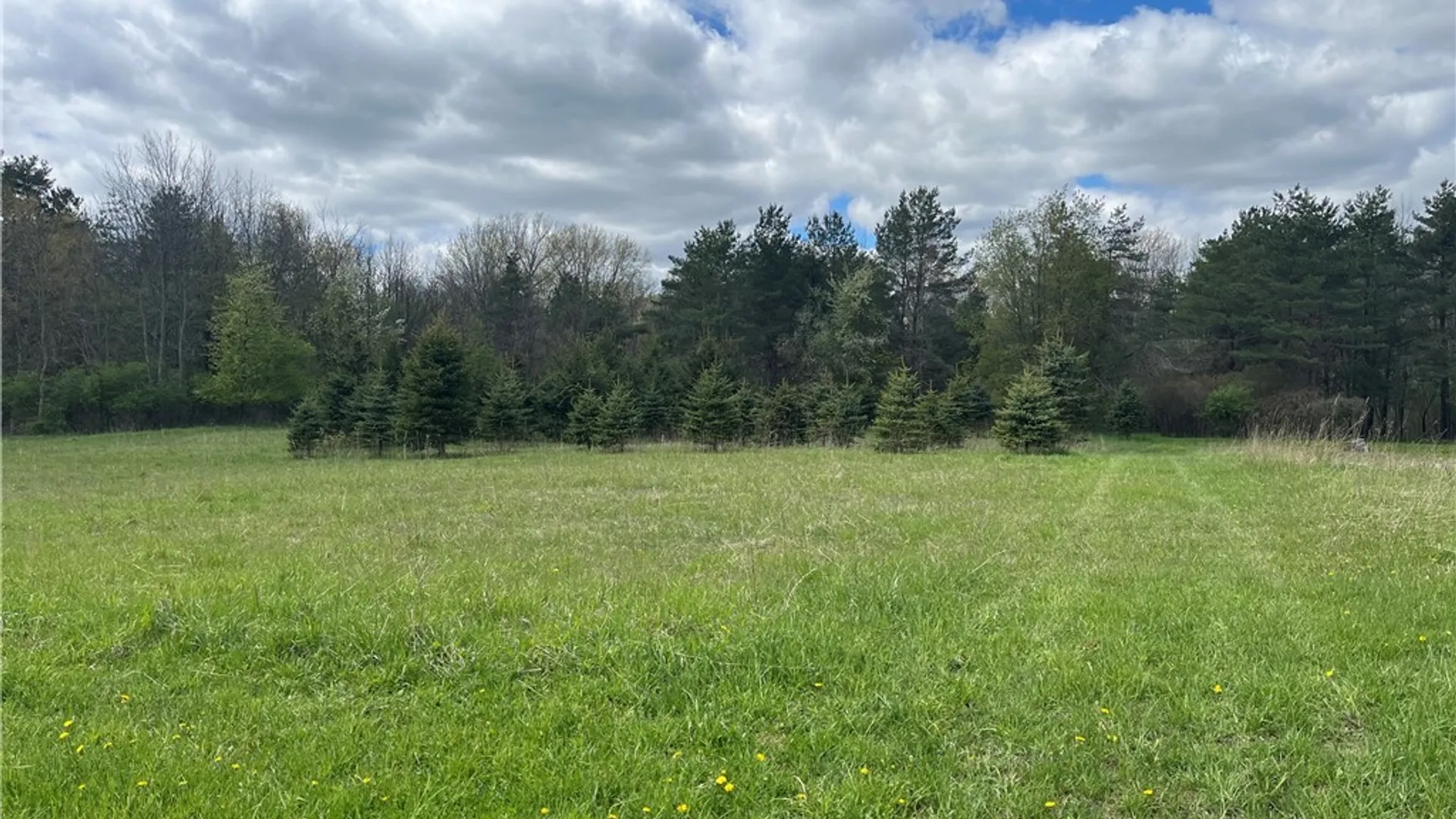 Property at 9832 Francis Road, Bethany, NY 14020 48