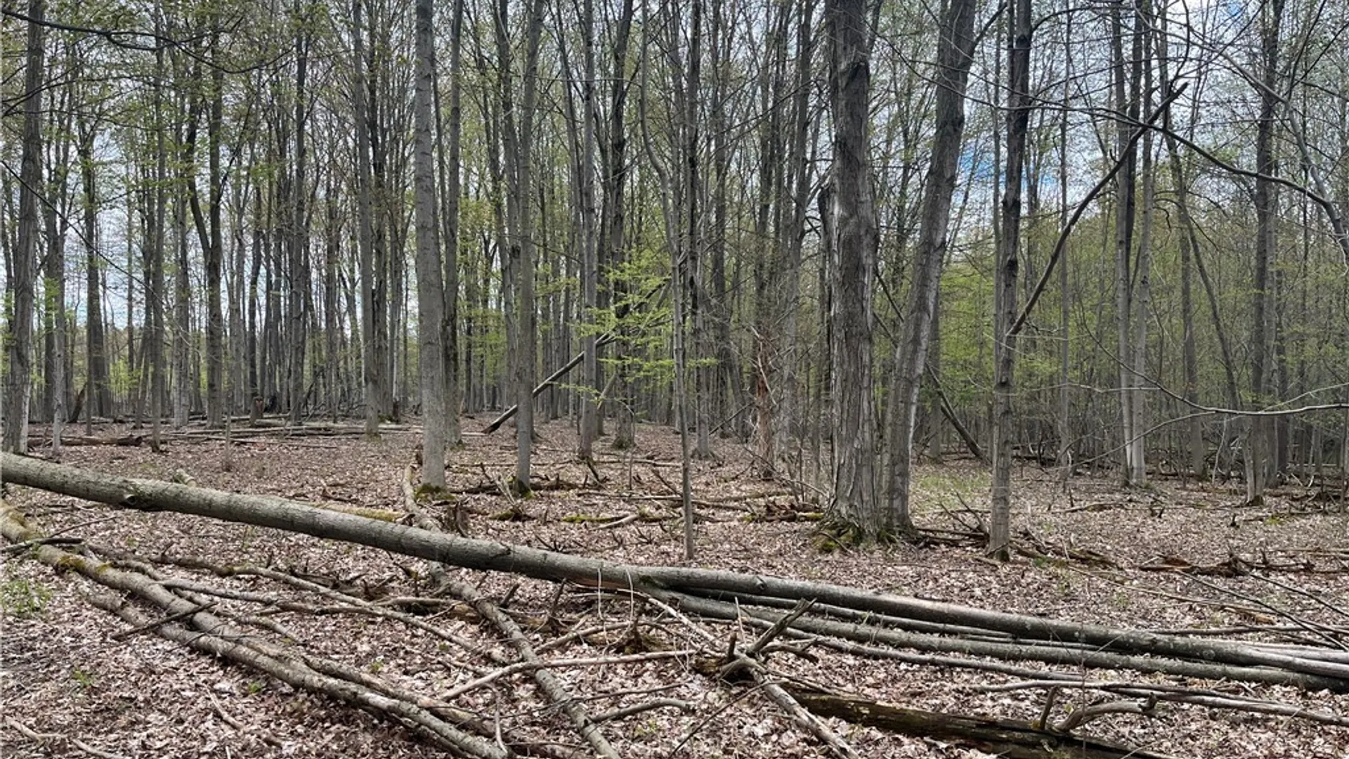 Property at 9832 Francis Road, Bethany, NY 14020 49