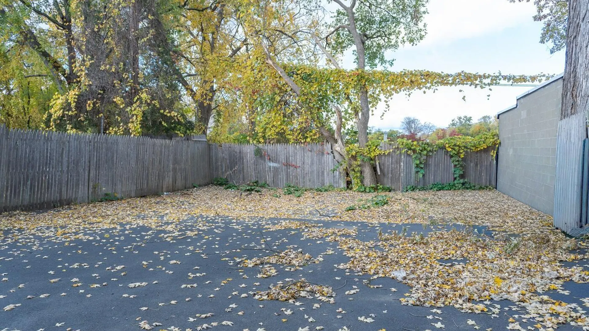 Property at 57 N Brandywine Avenue, Schenectady, NY 12307 56
