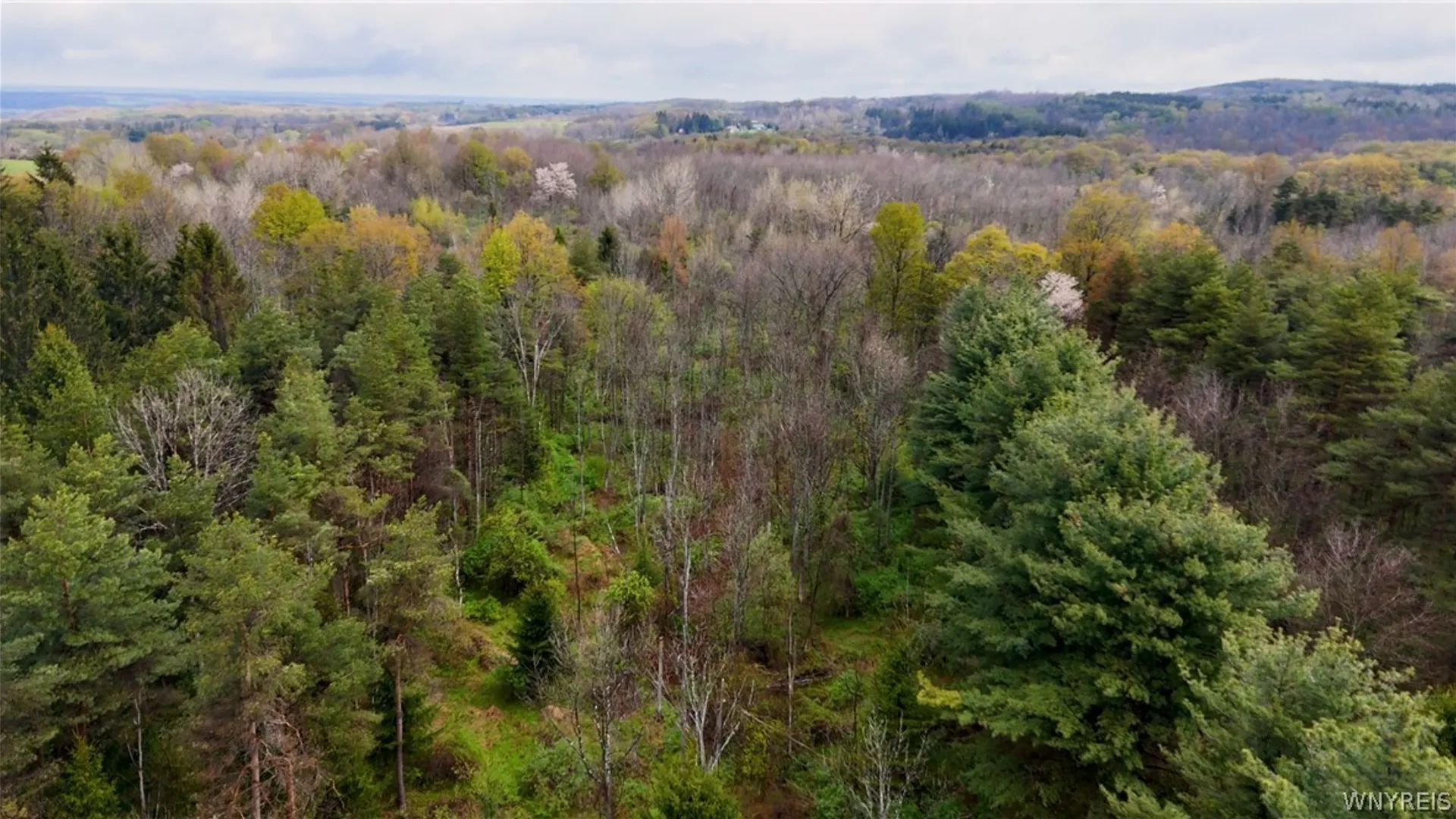 Property at 1570 Halls Corners Rd, Attica, NY 14011 15