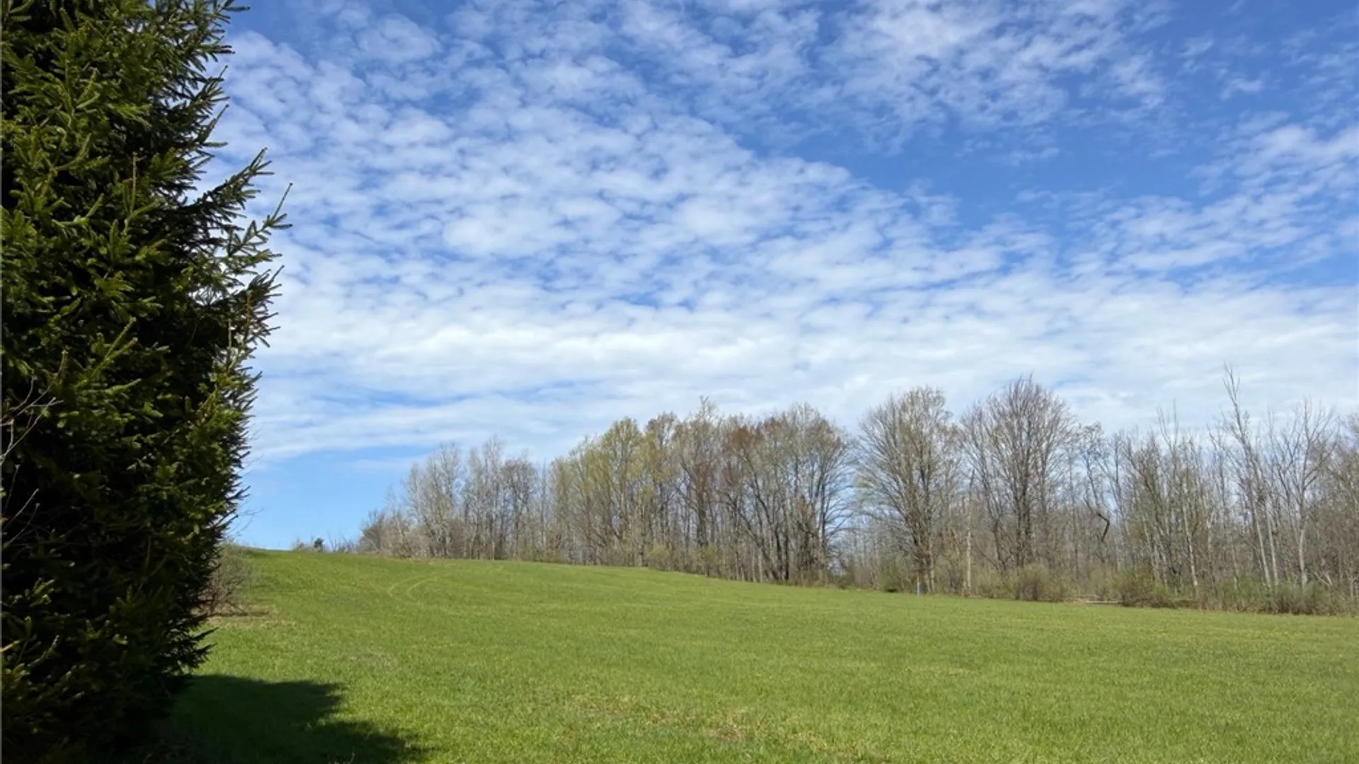 Property at 7441 Vermont Hill Road, Holland, NY 14080 38