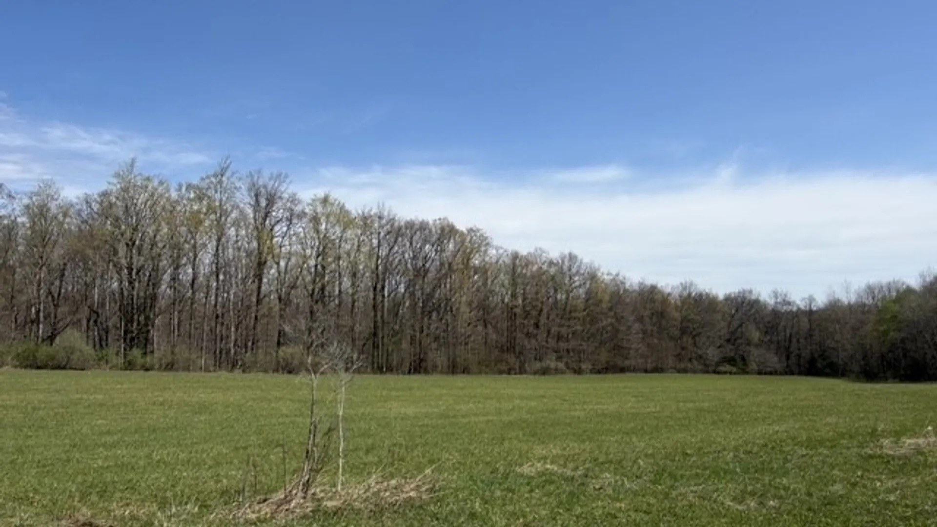 Property at 7441 Vermont Hill Road, Holland, NY 14080 39