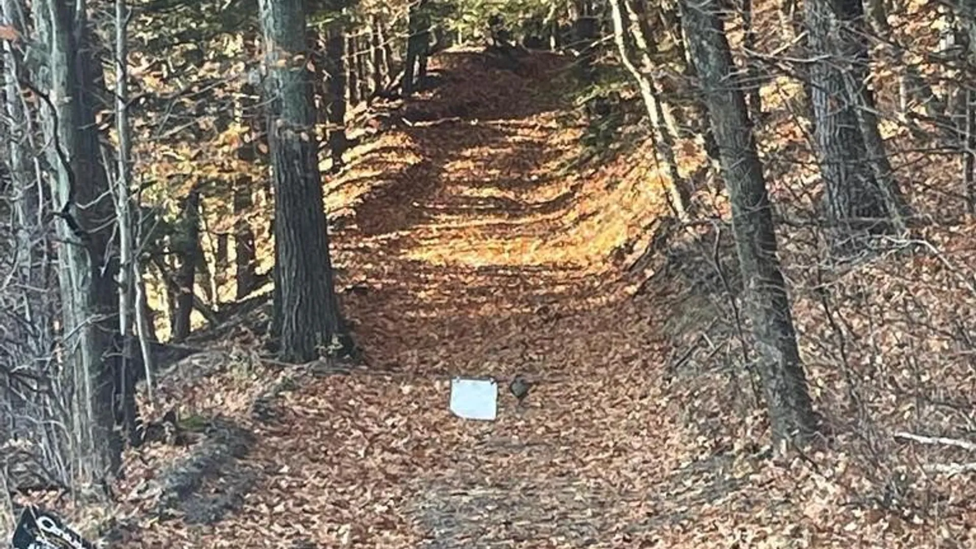 Property at L26 & L27 Ecker Hollow Road, Cobleskill, NY 12157 2
