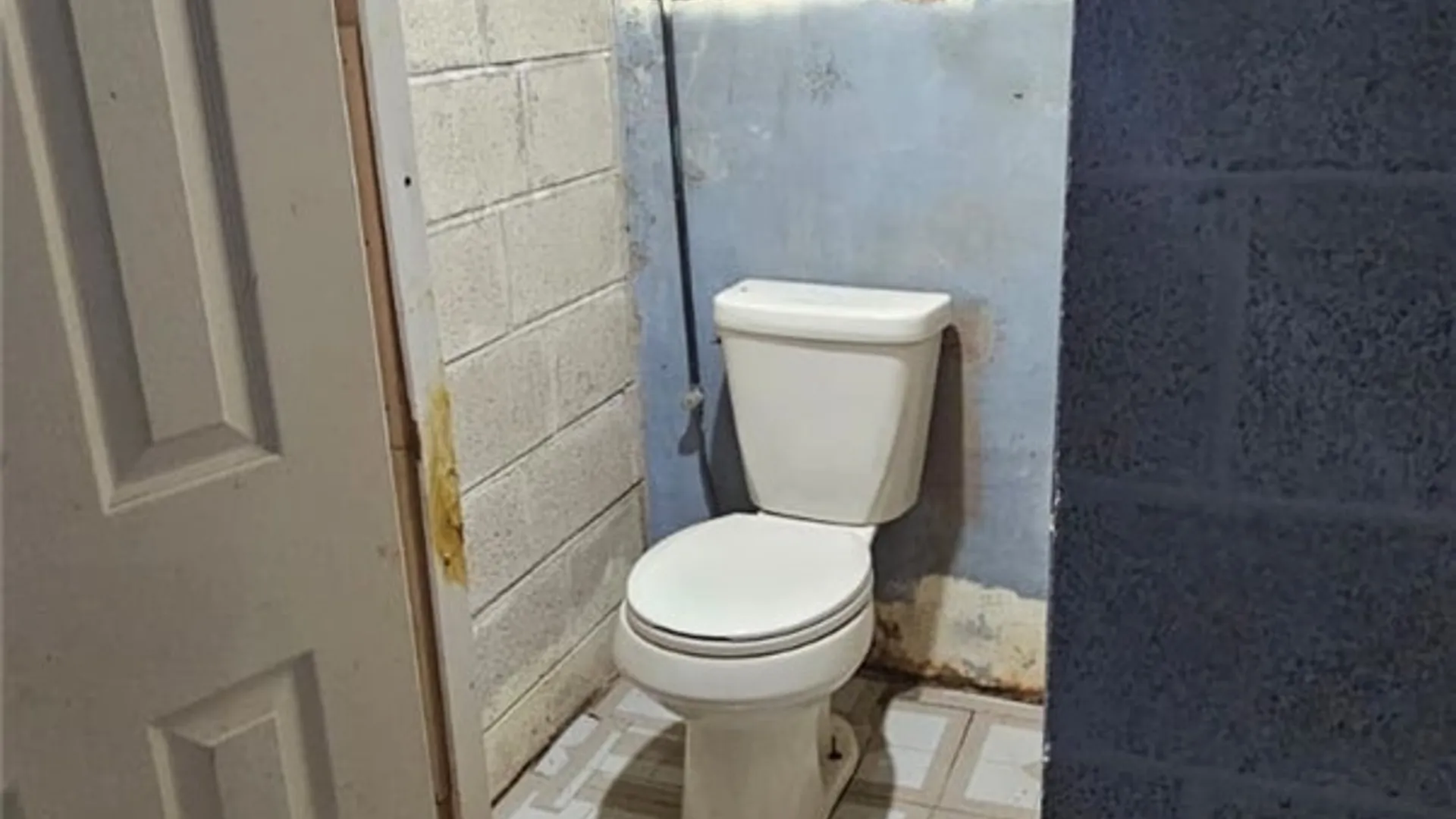 Property at 255 Hazelwood Avenue, Buffalo, NY 14215 29