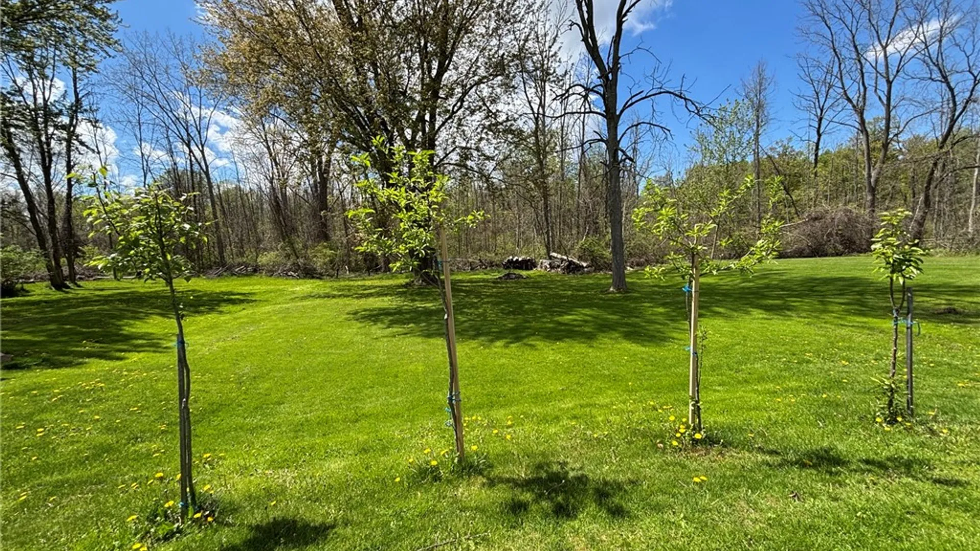 Property at 3344 Hulberton Road, Murray, NY 14470 25