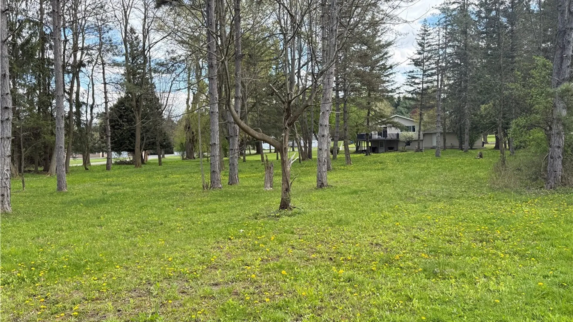 Property at 64 Gunderman Road, Danby, NY 14850 48