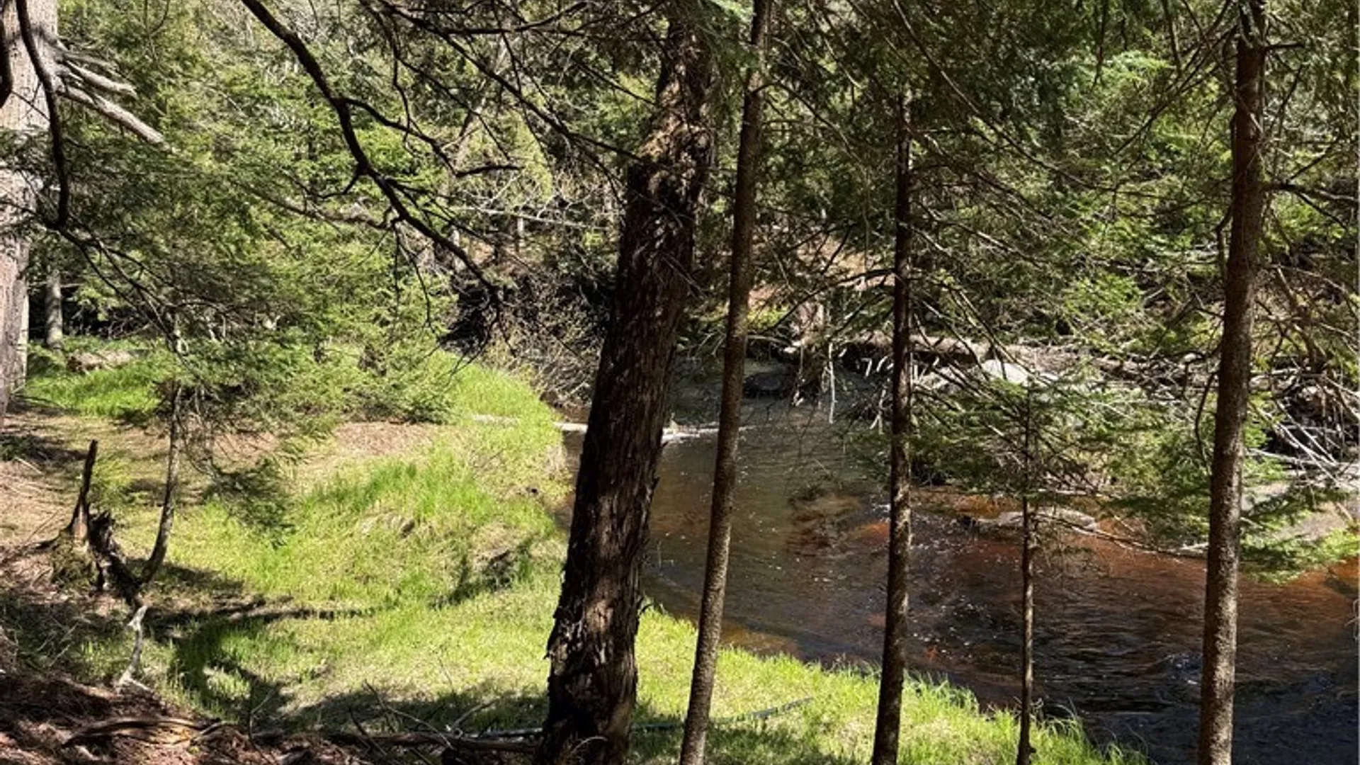 Property at Lot # 87,88,89 Meekerville Road, Forestport, NY 13338 26